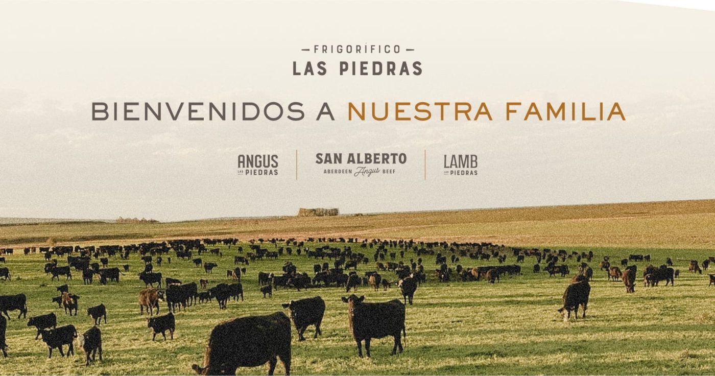 laspedras wholesale supply of beef