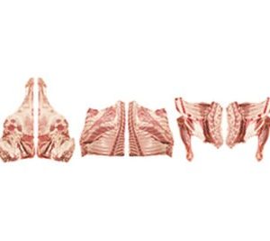 Wholesale Lamb Carcase 6 Way In Uruguay