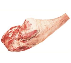 leg