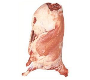LAMB LAS PIEDRAS